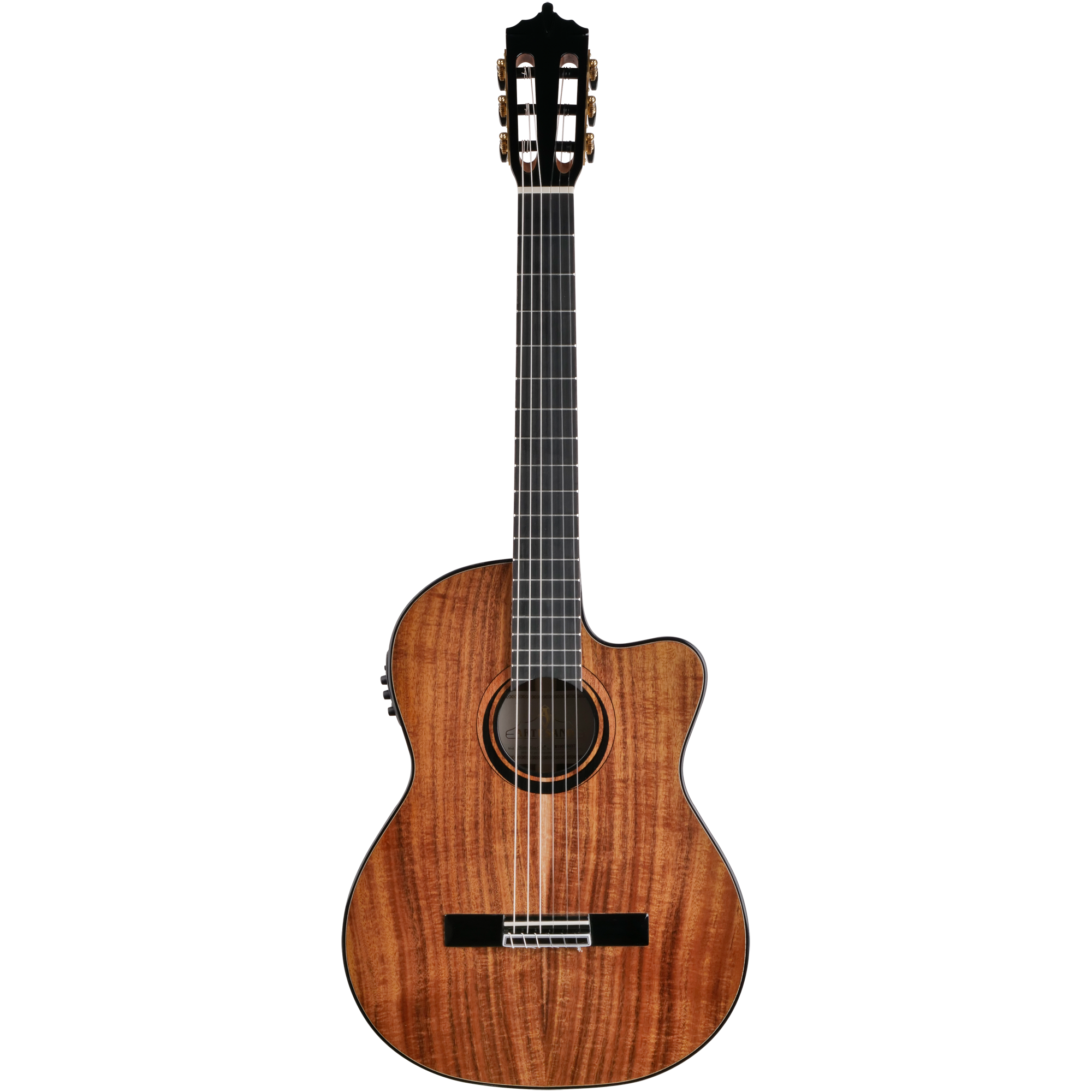 Koa thin acoustic 2025